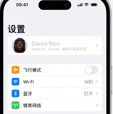 定结appleID维修服务iPhone设置中Apple ID显示为灰色无法使用 