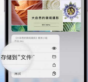 定结apple维修中心分享iPhone文件应用中存储和找到下载文件