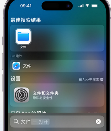 定结apple维修中心分享iPhone文件应用中存储和找到下载文件 