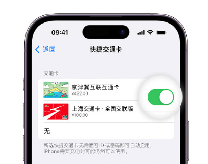 定结apple维修点分享iPhone上更换Apple Pay快捷交通卡手绘卡面 