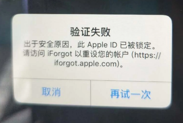 定结iPhone维修分享iPhone上正常登录或使用AppleID怎么办 