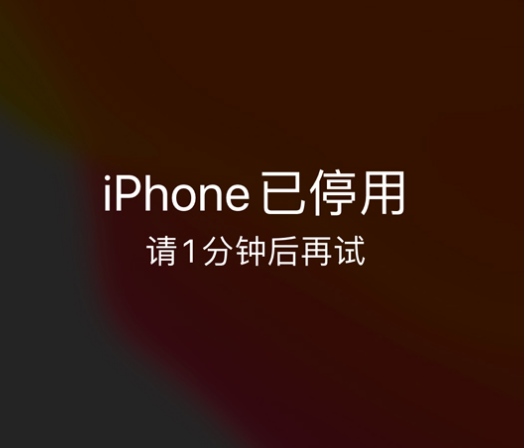 定结苹果手机维修分享:iPhone 显示“不可用”或“已停用”怎么办？还能保留数据吗？ 