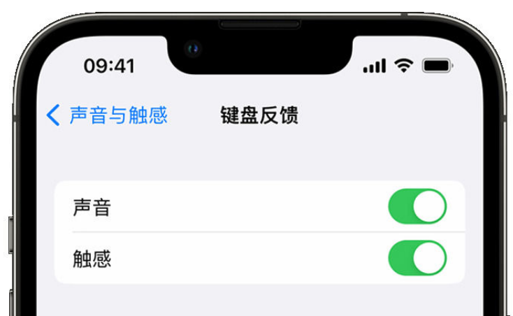 定结苹果手机维修分享iPhone 14触感键盘使用方法 