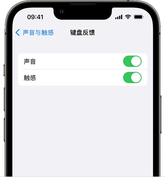 定结苹果14维修店分享如何在 iPhone 14 机型中使用触感键盘 