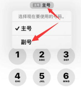 定结苹果14维修店分享iPhone 14 Pro Max使用副卡打电话的方法 