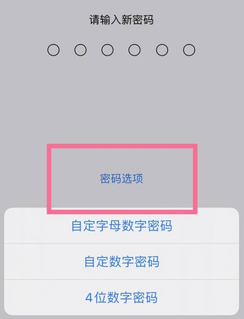 定结苹果14维修分享iPhone 14plus设置密码的方法 