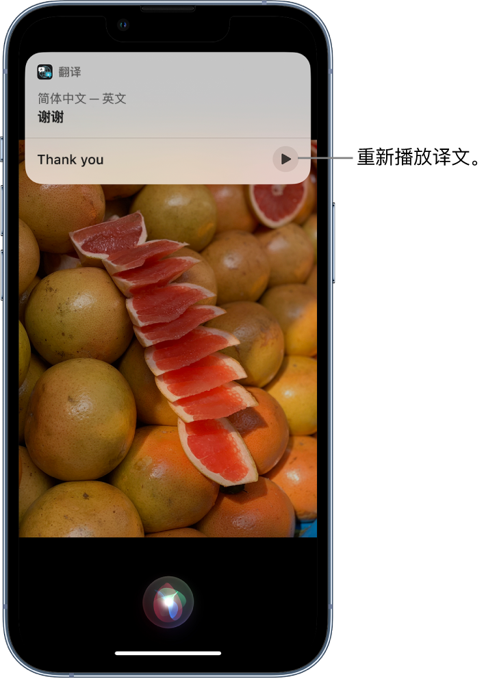 定结苹果14维修分享 iPhone 14 机型中使用 Siri：了解 Siri 能帮你做什么 