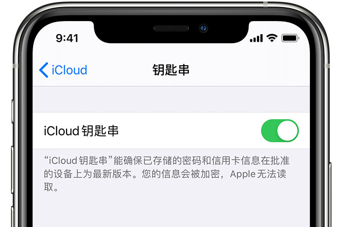 定结苹果手机维修分享在 iPhone 上开启 iCloud 钥匙串之后会储存哪些信息 