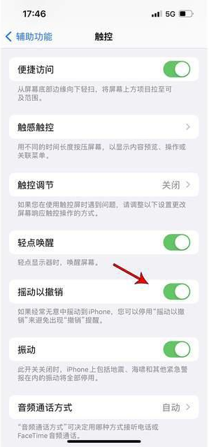 定结苹果手机维修分享iPhone手机如何设置摇一摇删除文字 