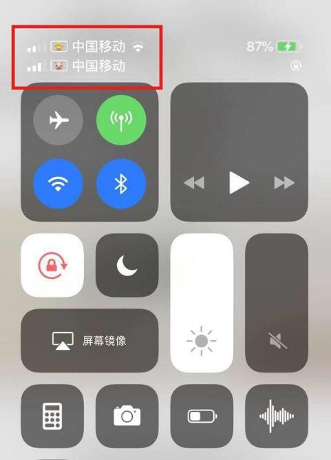 定结苹果手机维修分享为 iPhone 12 双卡设置标签 