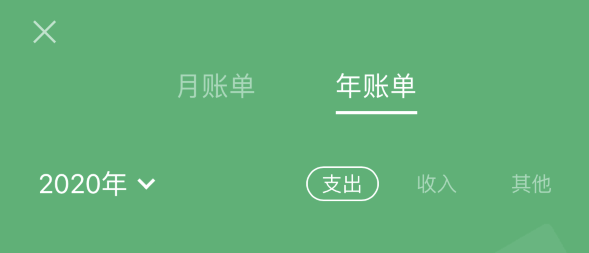 定结苹果手机维修分享如何在 iPhone 上查看支付宝和微信年支出账单 