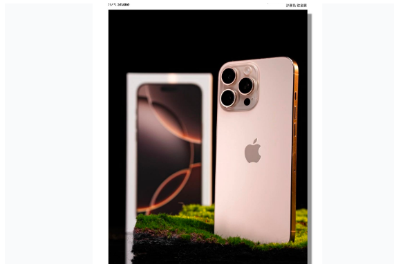 定结苹果手机维修分享iPhone 16 Pro Max换电池 